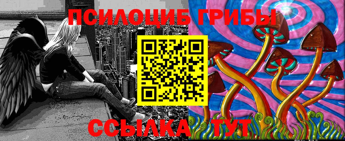 Галлюциногенные грибы Psilocybine cubensis  Галлюциногенные грибы MAGIC MUSHROOMS  где найти наркотики  Вход с VPN  Тверь 